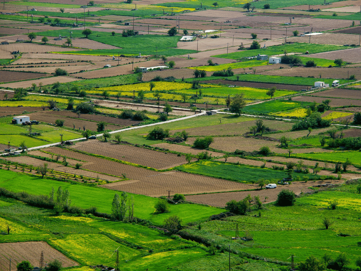 Residential plots in Priyadarshini Colony, Jabalpur